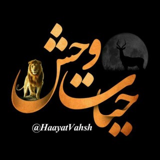 حیات وحش (@haayatvahsh)
