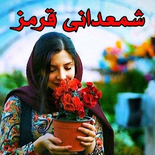 شمعدانی قرمز (@shamedanighermez)
