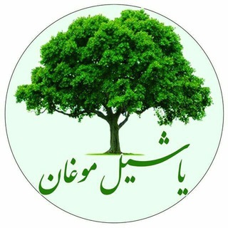 یاشیل موغان (@yashilmoghan)