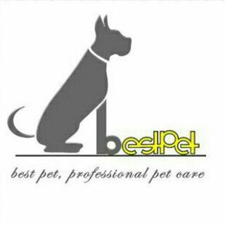 BestPet | «مرجع آگهی حیوانات خانگی» (@bestpet)