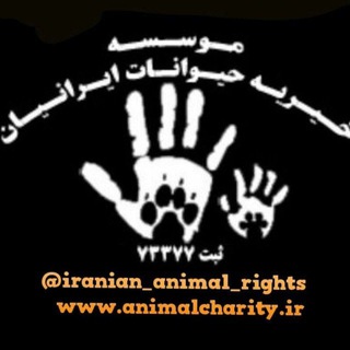 خیریه حیوانات (@iranian_animal_shop)