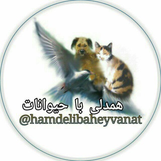 همدلی با حیوانات (@hamdelibaheyvanat)