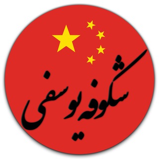 Funnychinese🀄️🧧😀 (@yosefichinese)
