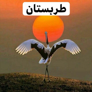 طربستان (@tarabesstaan)