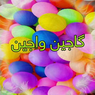 گاجین واجین (@gajinvajin)