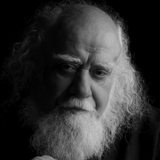 محمدرضا حکیمی (@mohamadrezahakimi)
