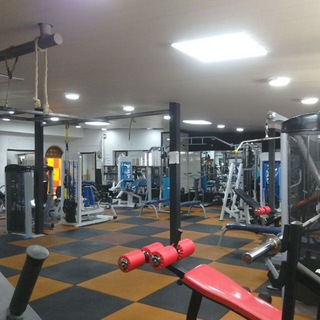 باشگاه ورزشی تندرستی چالوس (@tandorostygym)