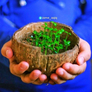 جام عقیق (@jame_aqiq)