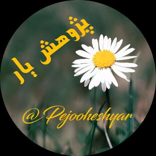 پژوهش یار (@pejooheshyar)