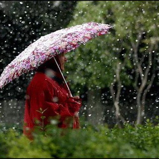 ☔️☔️ترنم باران☔️☔️ (@t_barannn)