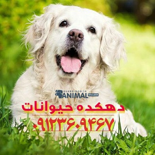 دهكده حيوانات (@animal_village2000)
