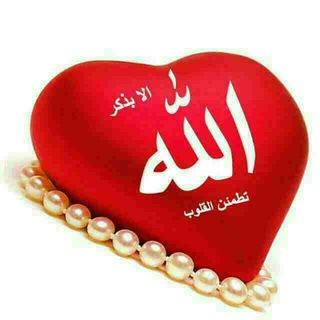 💖آرا مش قلب💖 (@aramesheqalb)