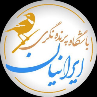باشگاه پرنده‌نگری ایرانیان (@iranianbirdingclub)