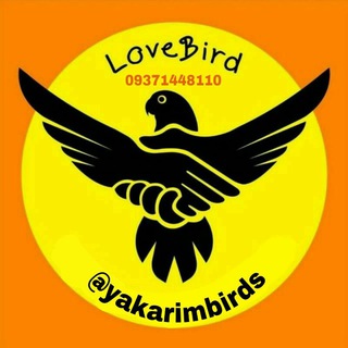 🕊پرنده سرای یاکریم🕊 (@yakarimbirds)