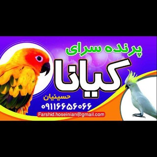 خرید و فروش انواع حیوانات (@parandesarayekiana6066)