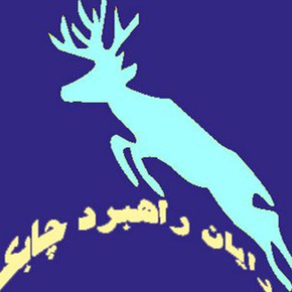 رایان راهبرد چابکHRM (@rayanhrm)