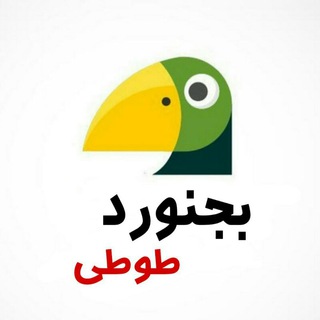 مجله پرندگان زینتی (@bojnord_parrot)