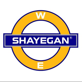SHAYEGAN INSTITUTE (@shayeganinstitute)