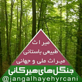 جنگل‌های هیرکانی (@jangalhayehyrcani)