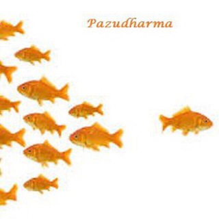 Pazudharma (@pazudharma)