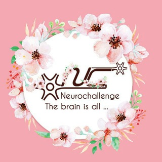 Neurochallenge (@uxneurochallenge)