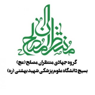 گروه جهادی منتظران مصلح (عج) (@j_bsbmu)