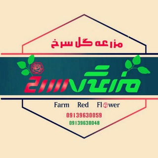 مزرعه گل سرخ (@nahalbartar_hosein_yeganeh)