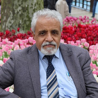 MohammadHossein.Jamalzadeh (@mhjamalzadeh)