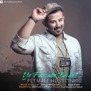 Peyman Hosseini Music (@peymanhosseinimusic)