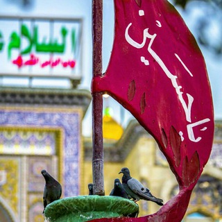 🌷نـ♡ــوکَـرانِ اَباعَبْــدِاللّه🌷 (@nokaran95)