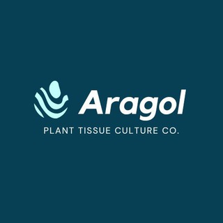 اراگل بافت نگین طبرستان (@aragolbaft94)