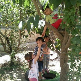 مدرسه طبیعت نسیم. (@nasimnatureschool)