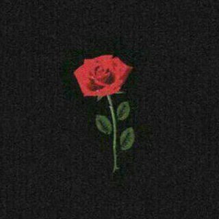 | چند لحظه با من | (@chand_lahze_ba_man)