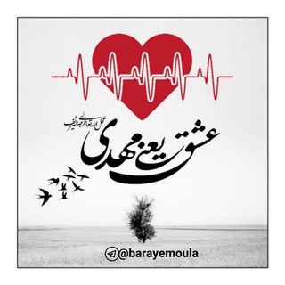 عشقیعنیمهدیعلیهالسلام♡ (@barayemoula)