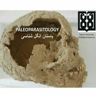 باستان انگل شناسی در ایران (@iranpaleoparasitology)