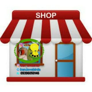 فروشگاه ایران لاوبیردس (@shop_iran_lovebirds)