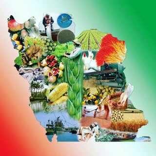 دانش کشاورز (مهندس زارع ) (@daneshkeshavarzi)