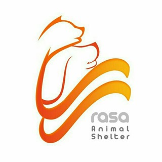پناهگاه حیوانات رسا (@rasaanimalshelter)