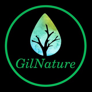 🌸طبیعت گیلان🌸 (@gilnature)