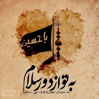 🇮🇷عاقبت بخیر🇵🇸 (@banooye_dameshgh)