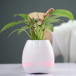Smart music flowerpot (@smartmusicflowerpot)