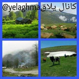 یلاق (@yelaghma)
