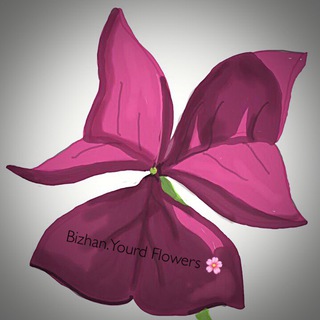 Bizhan.Yourd Flowers 🌸 (@bizhanyourdflowers)