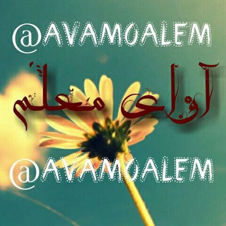 آوای معلم (@avamoalem)