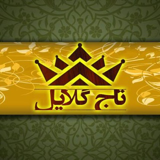 👑تاج گلایل👑 (@taj_negin_mashhad)