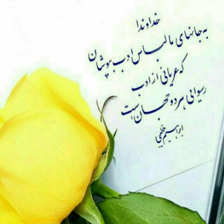 ستارگان تلاوت (@shahraidsetaregantelavat)