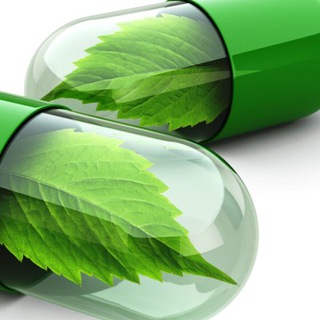 Green Teb (@greeenteb)