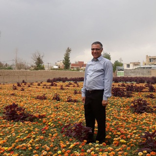 مجتبی عمادی بایگی (@dremadibaygi)