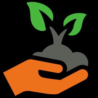 pourmansuriAgriculture (@pourmansuriagriculture)