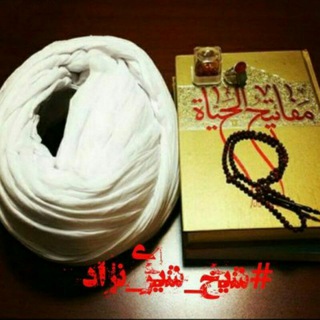 شیخ شیری نژاد (@sheikh_shirinejad)